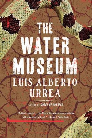The Water Museum: Stories cover