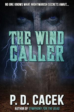 The Wind Caller cover