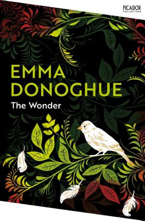 The Wonder cover