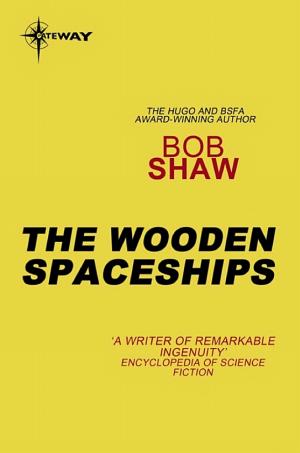 The Wooden Spaceships cover