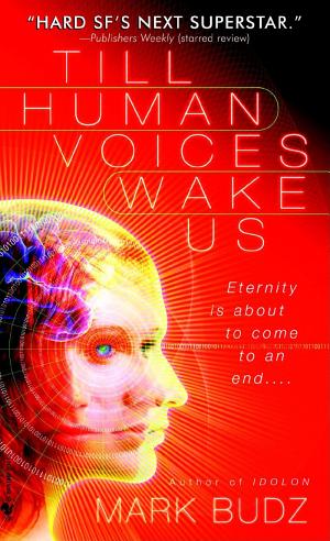 Till Human Voices Wake Us cover