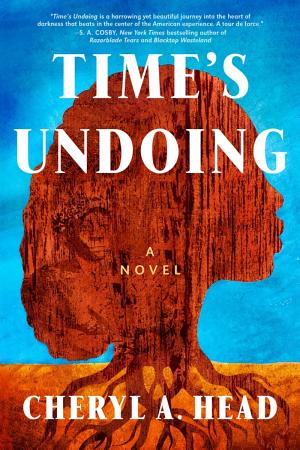 Time's Undoing cover