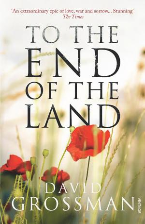 To the End of the Land cover