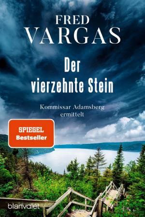 Der vierzehnte Stein cover