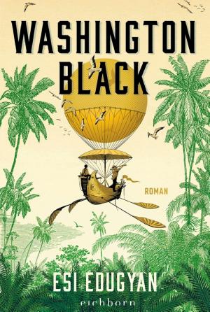 Washington Black cover