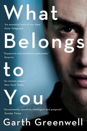 What Belongs to You cover