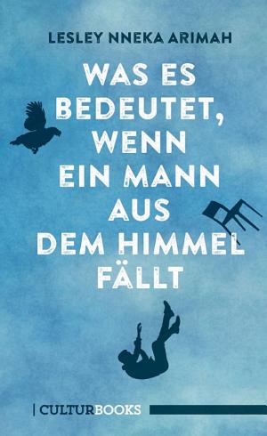 Was es bedeutet, wenn ein Mann aus dem Himmel fällt cover