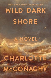 Wild Dark Shore cover