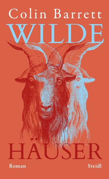 Wilde Häuser cover