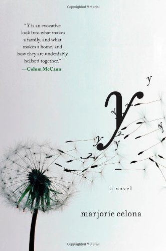 Y cover